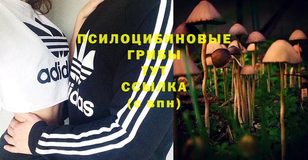 гидра Лагань