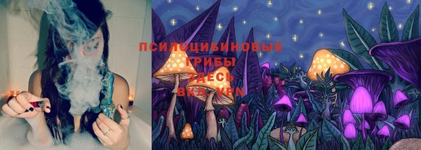 ешки Снежногорск