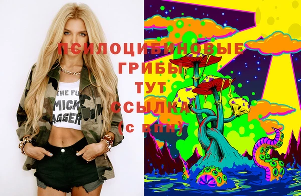 марки lsd Лабытнанги
