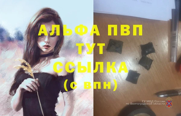 стафф Снежинск